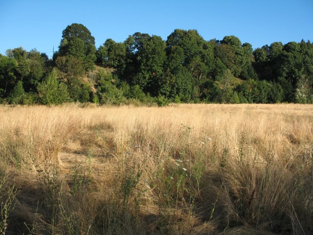 7.27.06 Oaks Bottom 028 